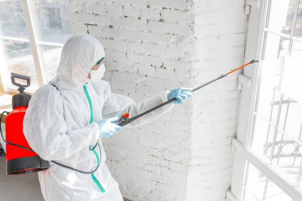 Best Mold Odor Removal Services  in Taylorsville, KY