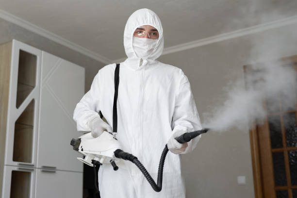 Best Biohazard Mold Removal  in Taylorsville, KY